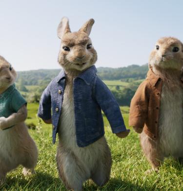 Peter Rabbit Hero Image